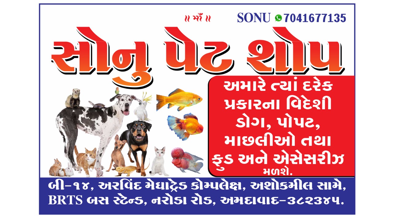Happy Pets in Paldi,Ahmedabad - Best Pet Shops For Dog in